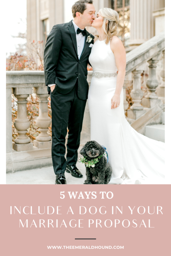 5 Ways to Include a Dog in Your Marriage Proposal - The Emerald Hound